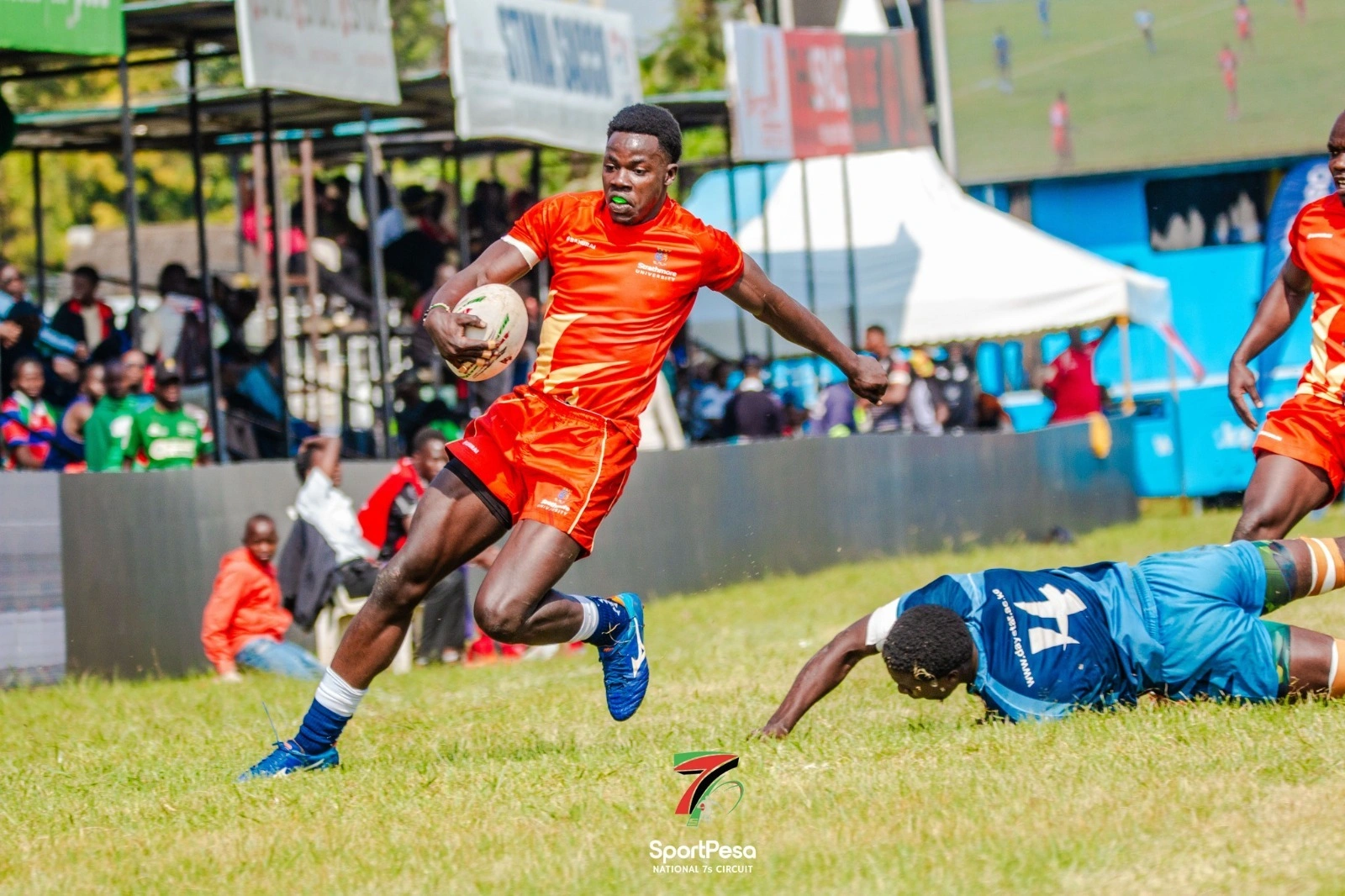 Stanislaus Shikoli does not tick most of the boxes which - those who pick the team of the tournament will be on the look out for ...